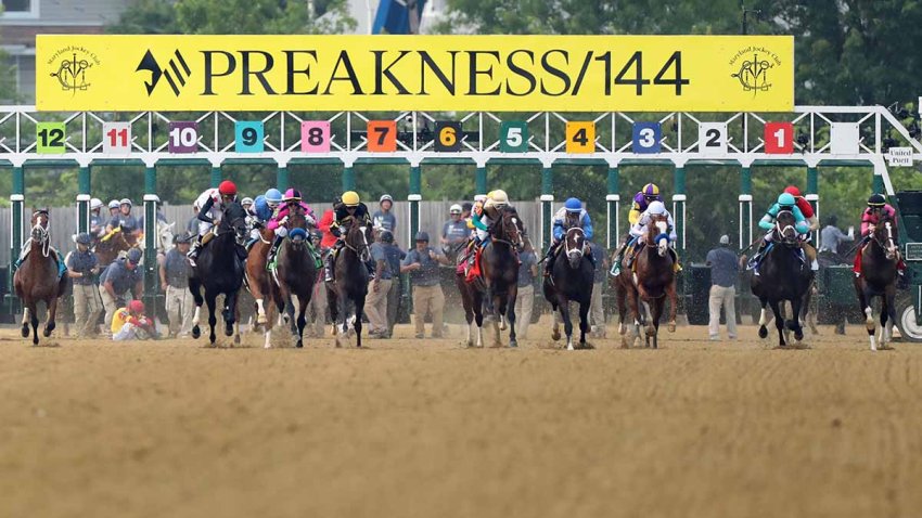 Preakness Stakes