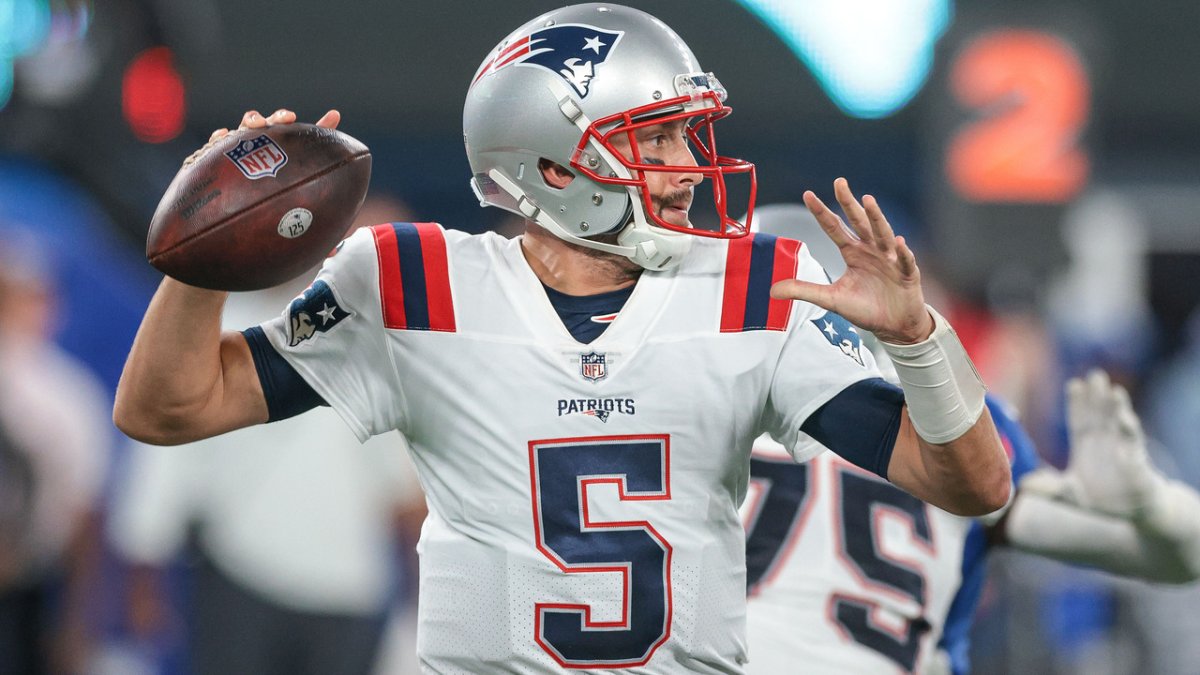 Bears sign veteran quarterback Brian Hoyer - NBC Sports