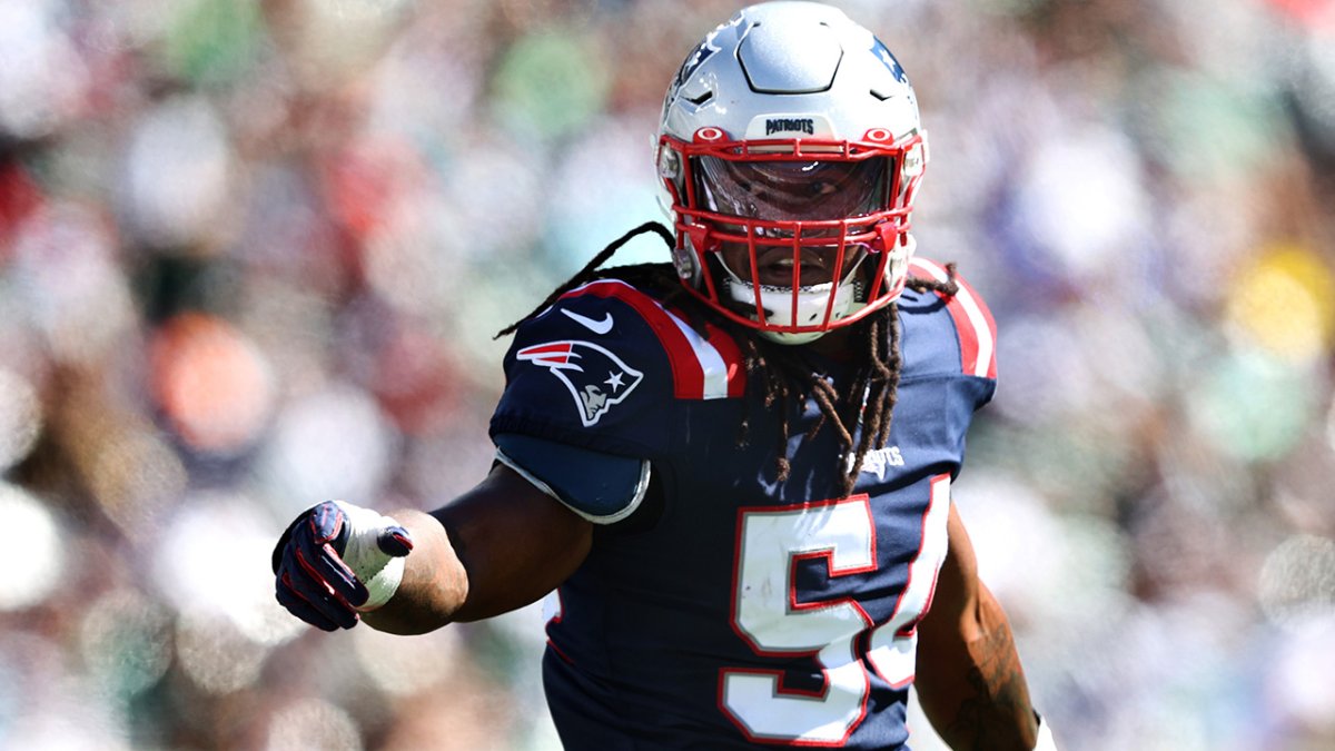 From Leadership To Versatility, New England Patriots Free Agent