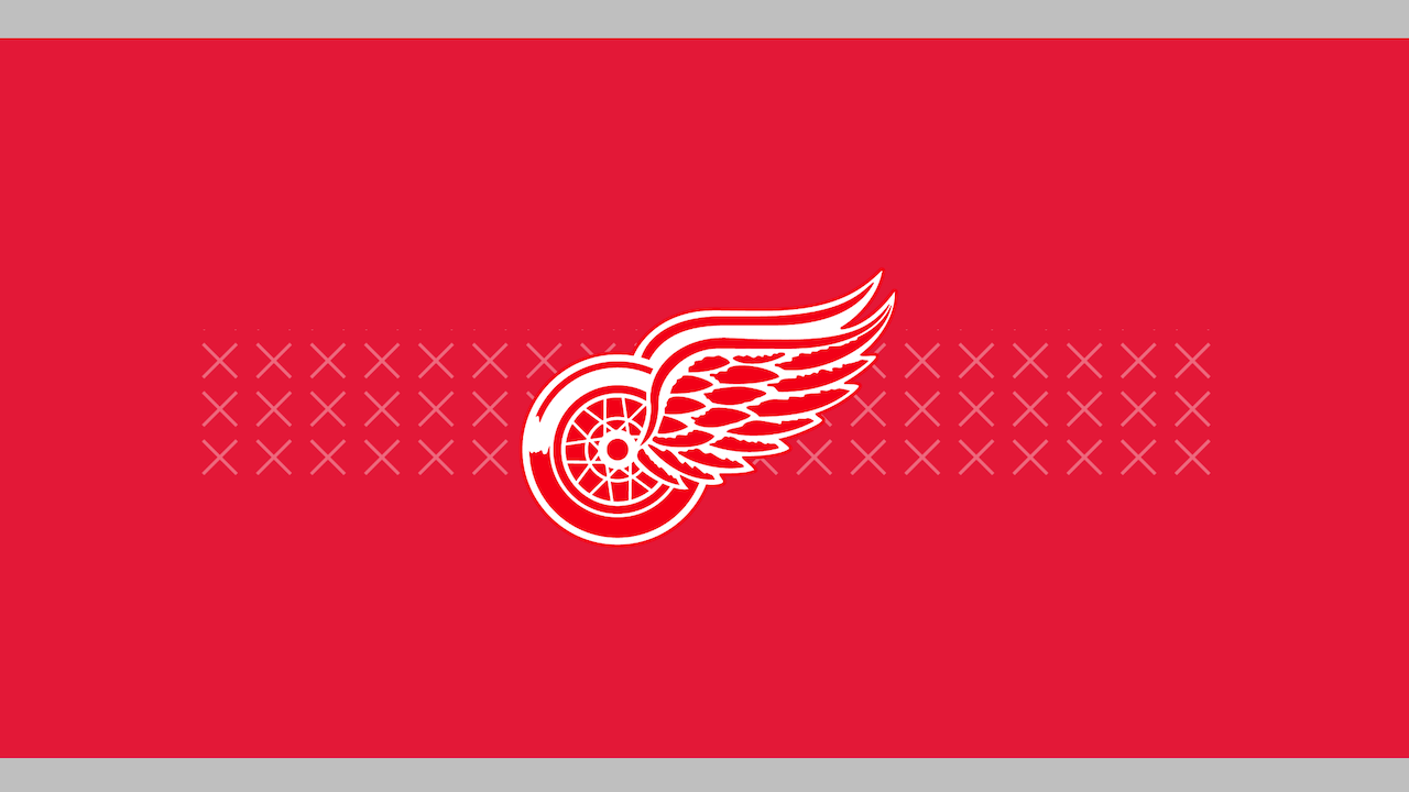  Detroit Red Wings 11 Time Stanley Cup Champions Double Sided  Garden Flag : Sports & Outdoors