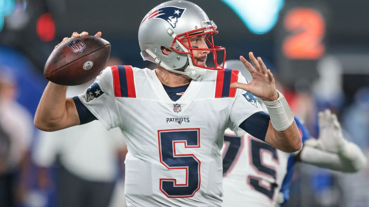 NFL rumors: Patriots sign Brian Hoyer to one-year deal, promote