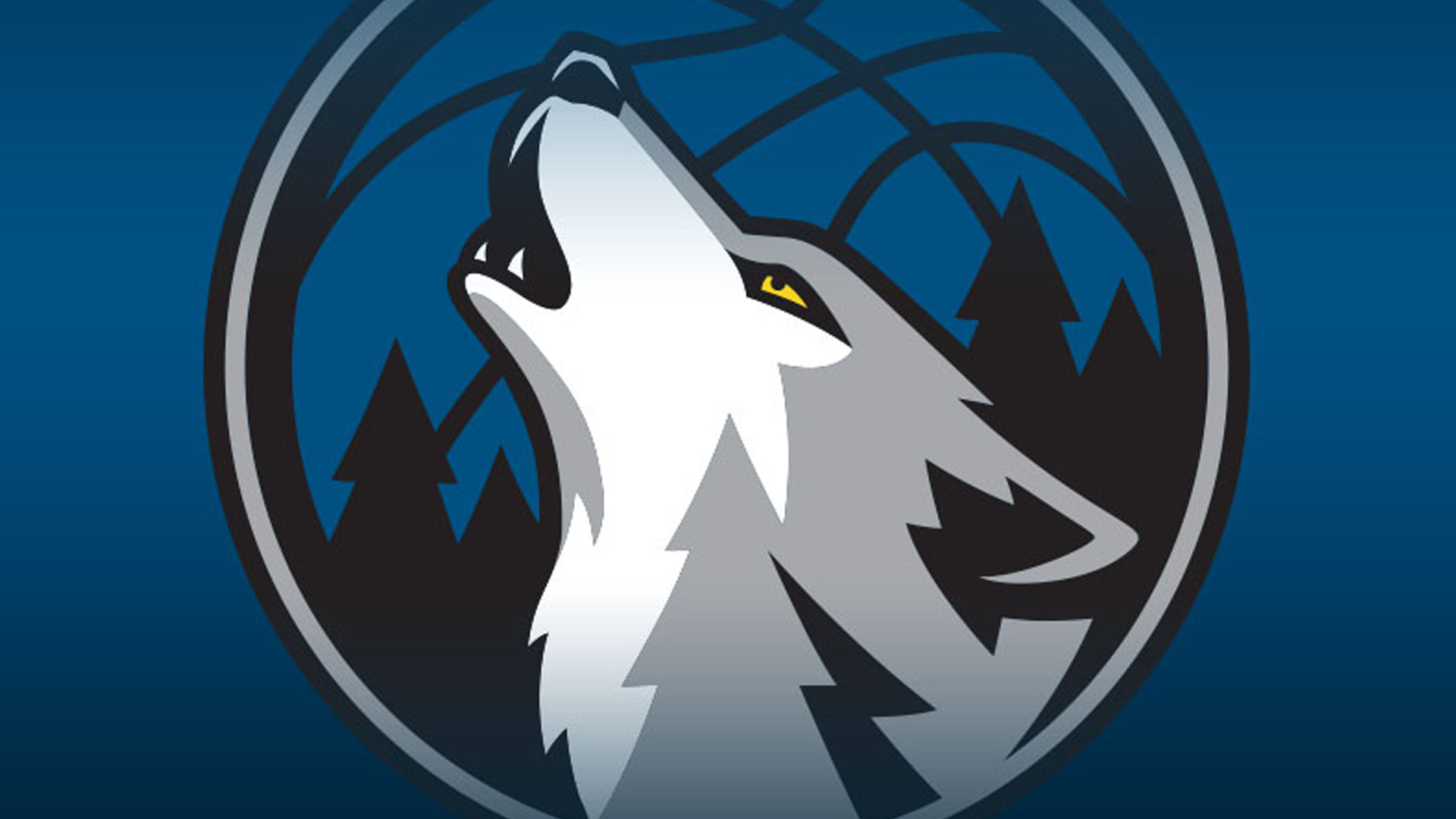 <p><strong>2019-20 record:</strong> 19-45</p>
<p>The offense will be exciting, as No. 1 overall pick Anthony Edwards joins the dynamic pick-and-roll combo of D'Angelo Russell and Karl-Anthony Towns. The bad news? This team plays no defense and has had just one winning season in the last 15 years. That's soon to be 16.</p>