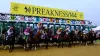 Here's everything you need to know about the 2022 Preakness Stakes