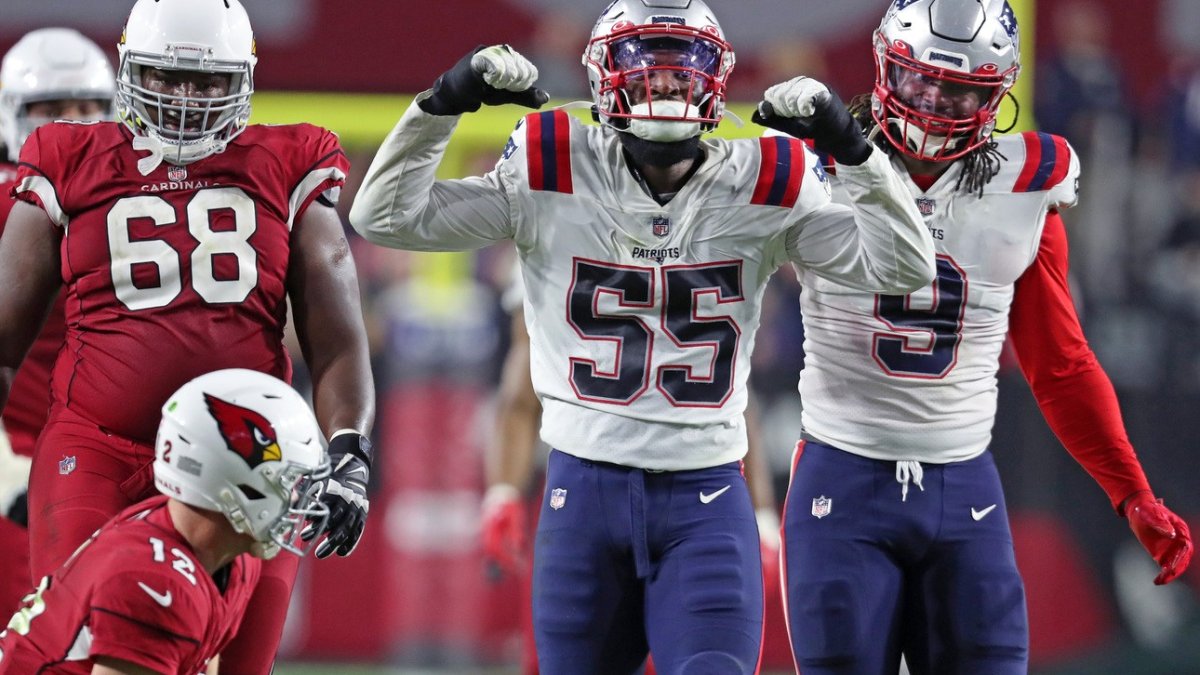 Patriots rookies enjoying differing degrees of success