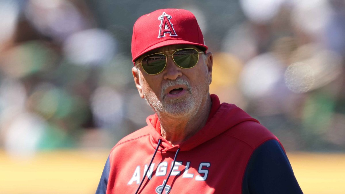 Joe Maddon to become Angels manager - The Boston Globe