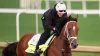 2025 Kentucky Derby horses: Here are the names, posts and jockeys for this year
